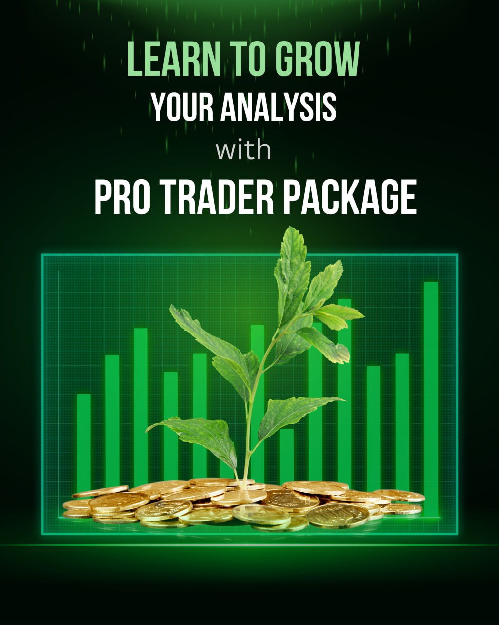 Pro Trader Course
