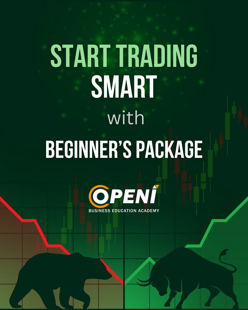 Beginner Trading Course